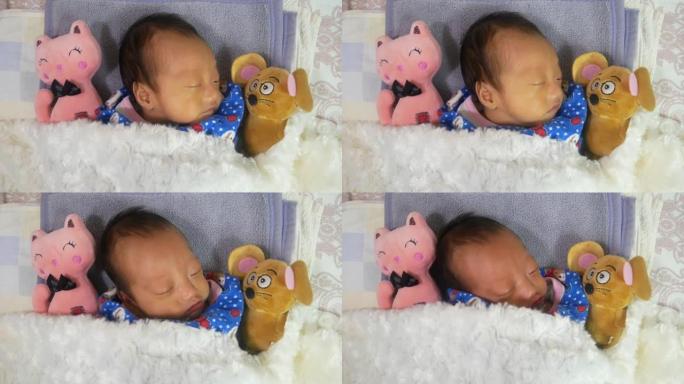 男婴与老鼠和猫毛绒玩具一起睡觉