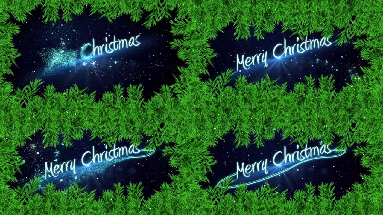黑色背景上的圣诞快乐文字和雪落在杉木树枝上的动画