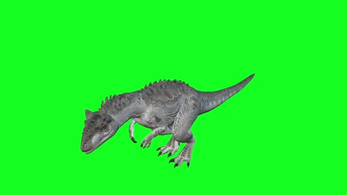 动画-在绿屏背景上行走的异特龙。恐龙世界