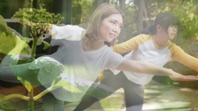 两名快乐的亚洲女性在户外练习瑜伽和植物上的阳光的合成