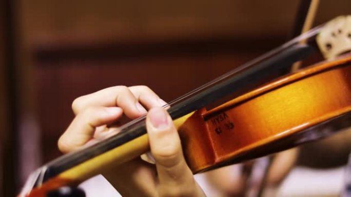 一位年轻小提琴手的模糊左手将琴弦压在小提琴琴颈上，水平