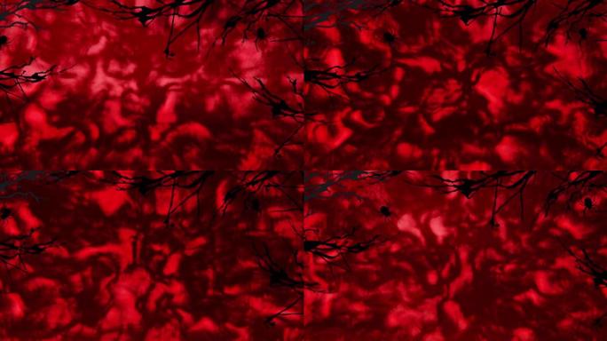 万圣节蜘蛛和树枝在红色挥舞背景上的动画
