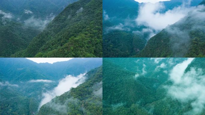 4K延时航拍大山雨后晨雾清新福建风光