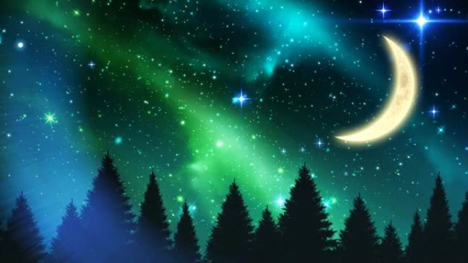 夜空和森林中的月亮和星星的动画