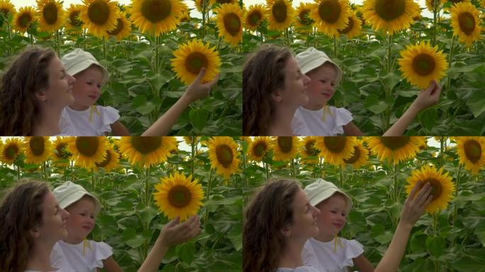 妈妈和女儿正在嗅向日葵。一个女人和一个女孩在大自然中行走。夏天一起在阳光下玩耍。黄色的花朵在夏天盛开