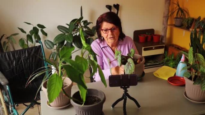 检疫的祖母在电话中展示植物