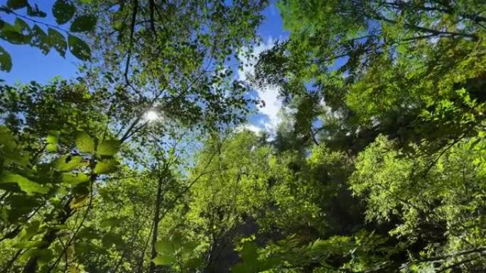 宁静的景象，火山国家公园独特的生态系统