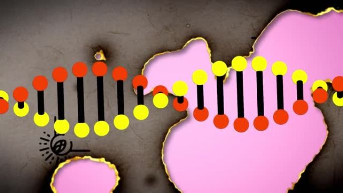 在粉红色背景上刻录文件上旋转的dna链动画