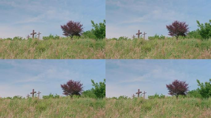 骷髅岛最后一站的画面-三个木制十字架在绿色的草地上，树木在蓝色美丽的天空下