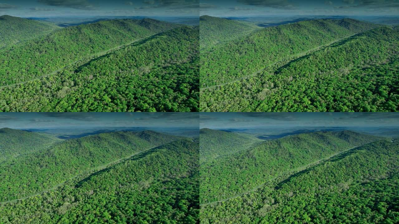 巨大的松树森林丘陵山丘山林绿化航拍鸟瞰