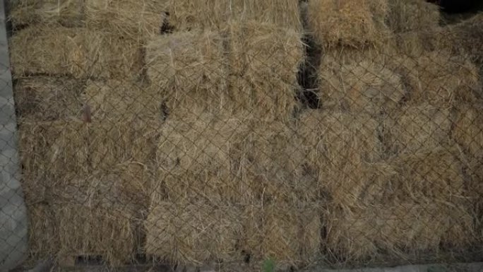 田间草堆卷作为农业收获的概念。