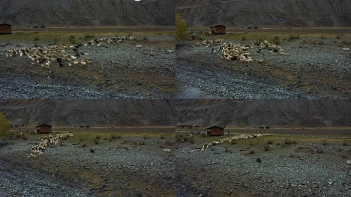 羊群正在山河景河畔追逐狗生态酒店。空中俯视图