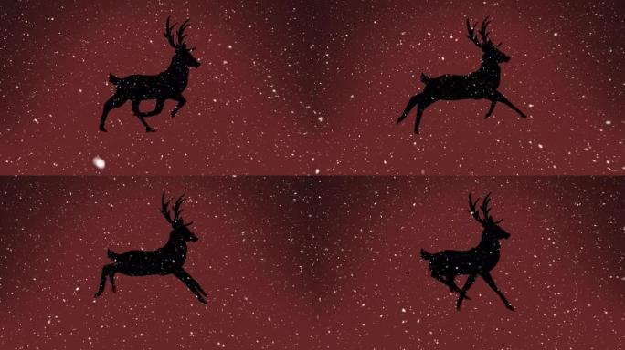 红色背景下圣诞节驯鹿上的雪的动画