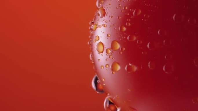 水滴中的成熟番茄旋转红色工作室背景。近距离拍摄红番茄，表面滴着水滴。屏保和壁纸的湿蔬菜。慢动作