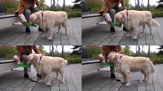 主人在公园散步后给他的狗喝水