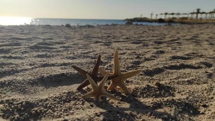 海沙上的海图，夏日沙滩背景旅游概念。