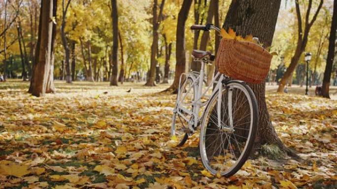 装满黄色叶子的篮子的自行车正站在树旁。黄叶落在绿草上。秋季公园。慢动作