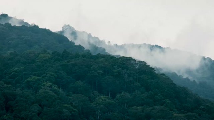 福雷斯特山和太阳照耀秋树的薄雾泰国北部4k史诗般的荣耀灵感徒步旅行和旅游概念