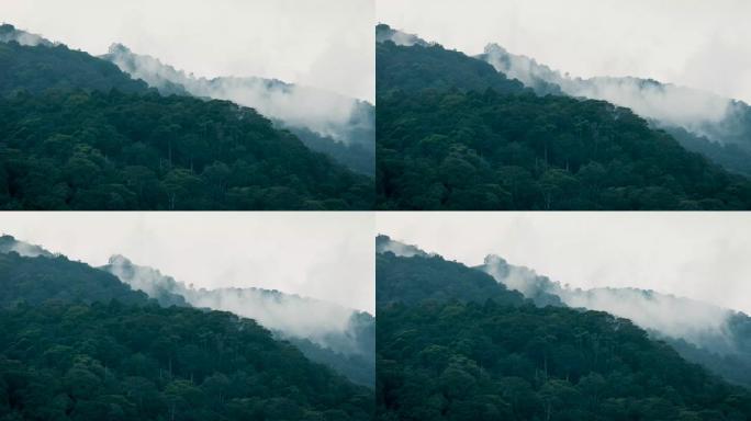 福雷斯特山和太阳照耀秋树的薄雾泰国北部4k史诗般的荣耀灵感徒步旅行和旅游概念