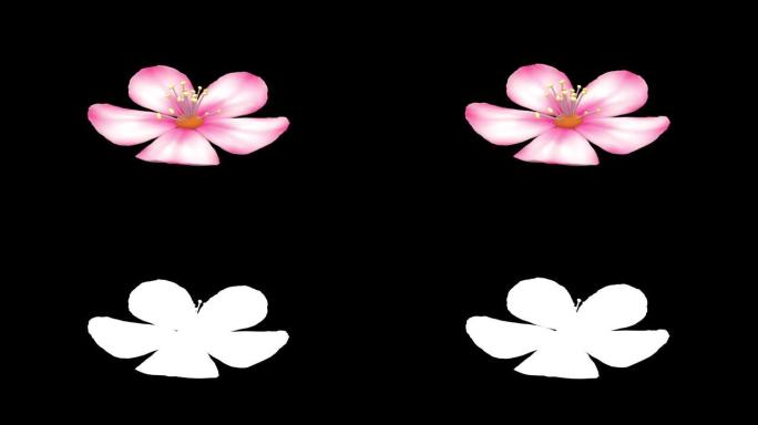 樱花四分之三视图，带阿尔法哑光