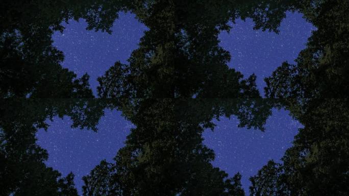 森林。背景夜空有星星、月亮和云。