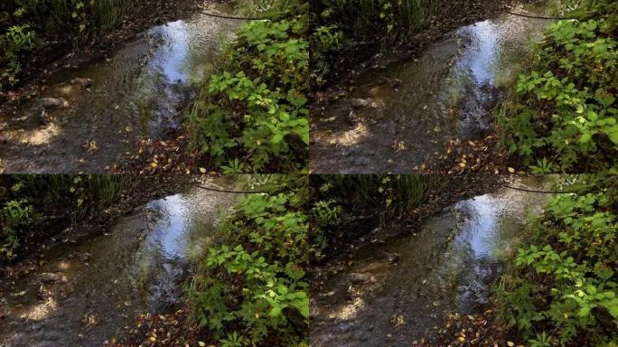 山谷中的自来水河流空镜水流特写地下水源