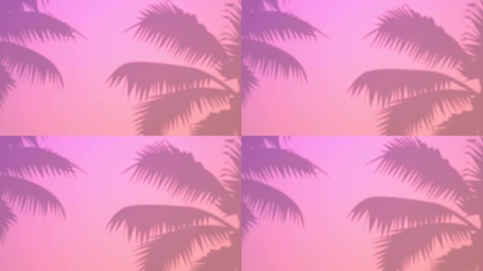 棕榈树阴影在墙上循环动画，浅色柔和的颜色背景，壁纸，横幅。夏天，阳光，阳光，热带植物叶子模糊的轮廓概