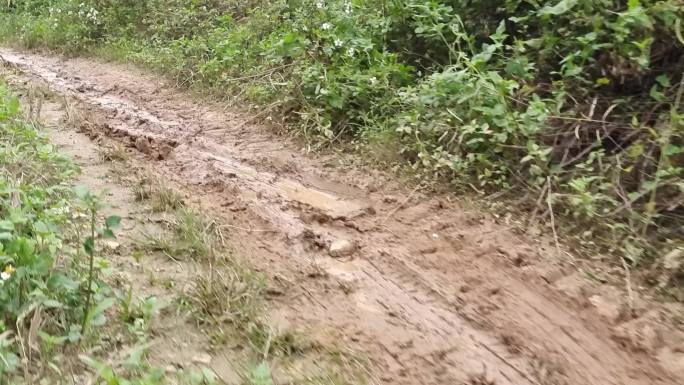 泥巴路雨后泥泞路乡间小道黄泥积水路烂路田