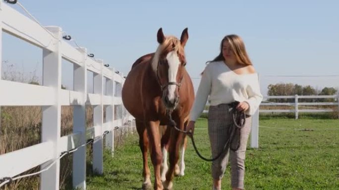 一位女驯马师的前视图平静地带领母马和小马驹在新的白色篱笆旁