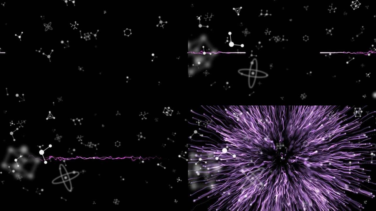 黑色背景上紫色烟花掉落的连接网络动画