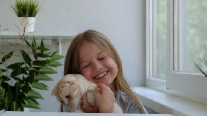 室内带着蓬松猫的微笑女孩。可爱的红色苏格兰折叠猫在一个孩子的手中。孩子开心地拥抱和抚摸她心爱的猫。儿
