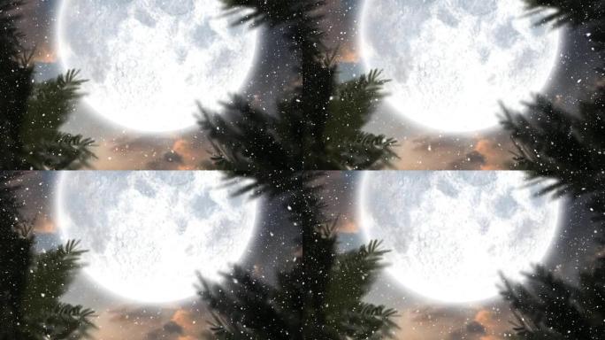 冬天的树木上的雪落在夜空中的月亮上