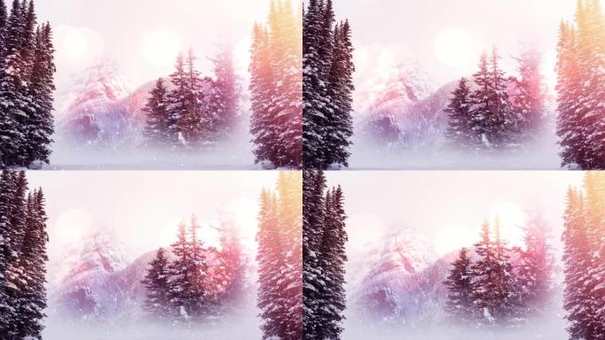 森林中积雪落在树木上的动画