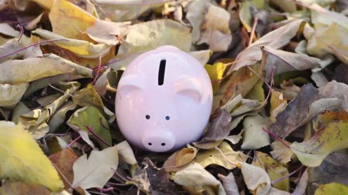 粉红色的存钱罐和秋天的落叶。秋季的银行概念