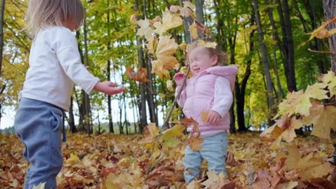 孩子们玩树叶。两个蹒跚学步的女孩在秋天的森林里玩秋叶。左女孩不小心向另一个女孩扔了木棍