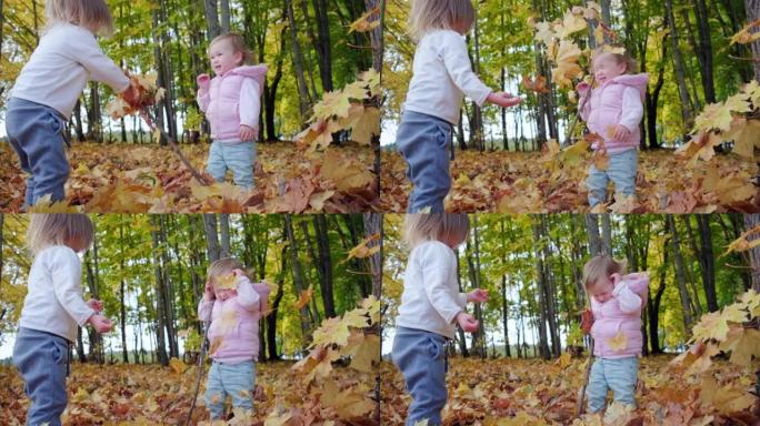 孩子们玩树叶。两个蹒跚学步的女孩在秋天的森林里玩秋叶。左女孩不小心向另一个女孩扔了木棍