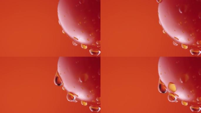 红色工作室背景下水滴中的成熟番茄。特写镜头的红色番茄，表面滴着水滴。屏保和壁纸的湿蔬菜。慢动作