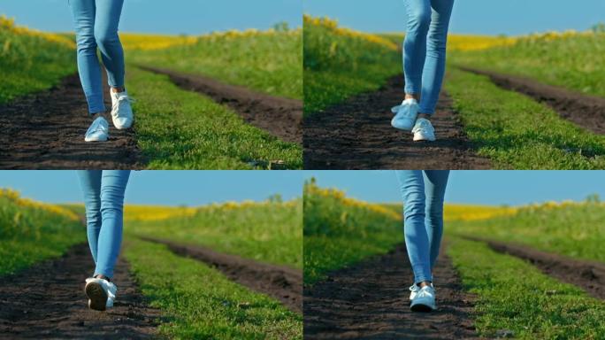 特写镜头，一个穿着白色运动鞋的女人的腿正沿着一条乡村道路行走。走在田野里的小路，脚踩着。底视图。4k