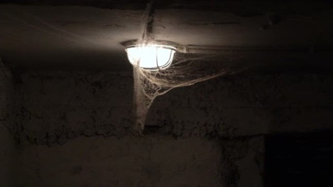 在一个黑暗、可怕的地下室里，一个巨大的蜘蛛网挂在打开的灯上，在风中飘荡。特写。超现实的观点。恐惧和恐