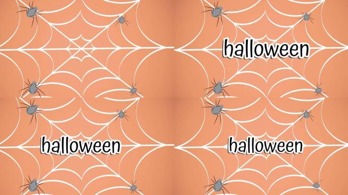 蜘蛛网上的万圣节文本动画
