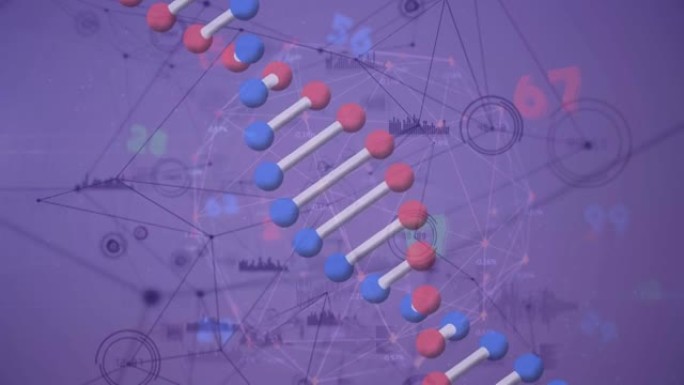 紫色背景上的dna链纺丝动画和数据处理