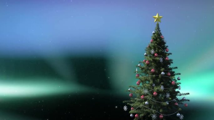 极光上的圣诞树动画