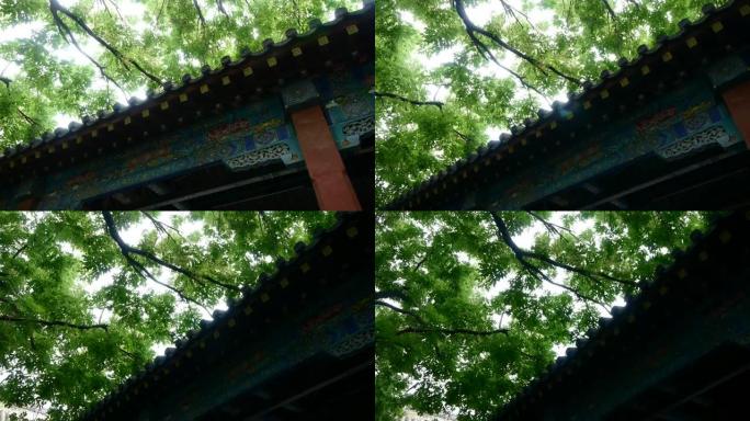 中国古建筑，雕梁画屋，微风吹叶。