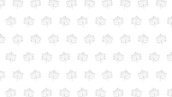 白色背景与枫树叶子黑色细线图标马赛克。几何网格中带有动画叶子的无缝循环运动图形模式