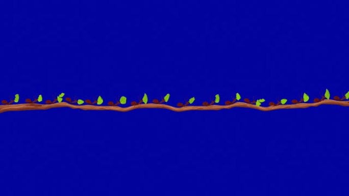 小型切叶蚁在无缝环Alpha通道的树枝上照顾叶子