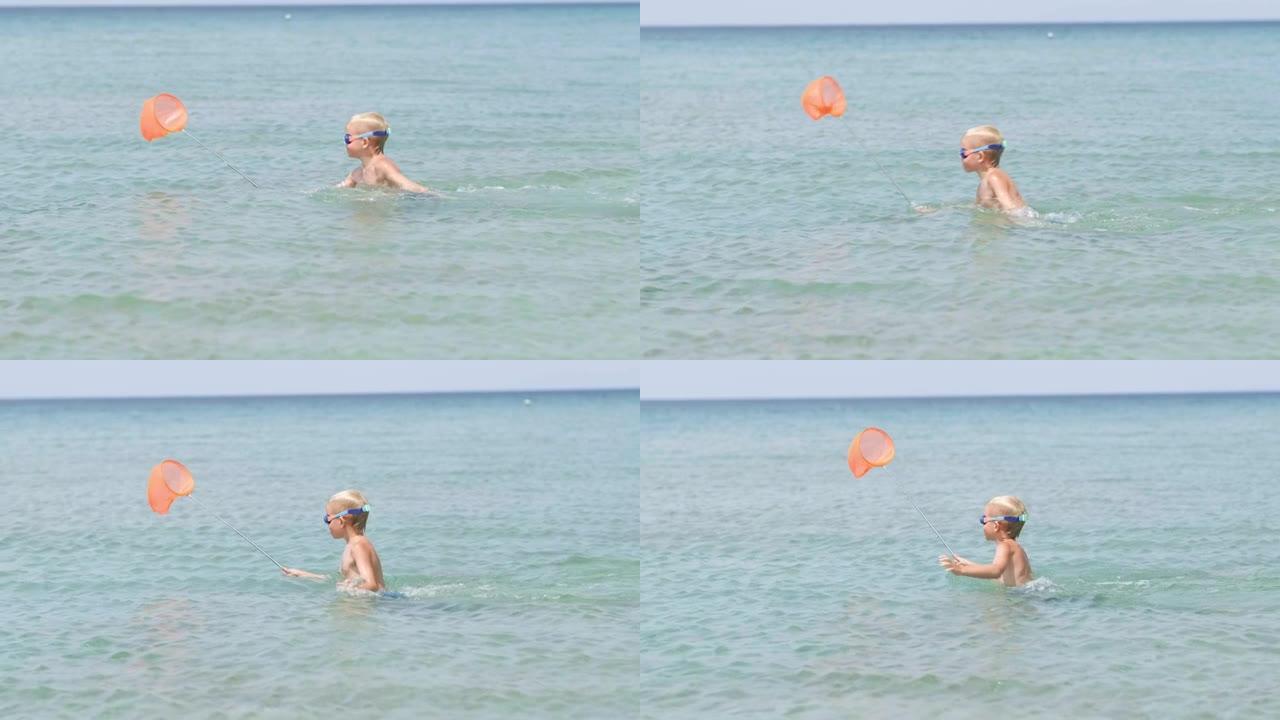孩子带着蝴蝶网出海抓鱼和螃蟹。小男孩在海水里玩耍，孩子玩得开心。暑假，假期，家庭到温暖的国家旅行