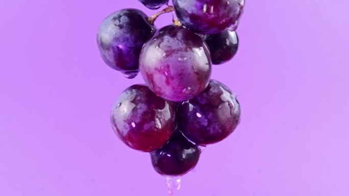 彩色背景上的深色葡萄