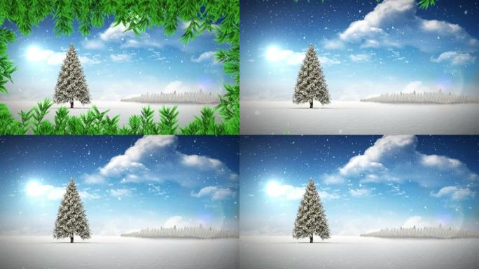树枝和雪落在蓝天下的冬季景观上的圣诞树上
