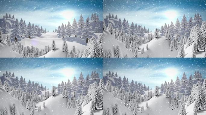 雪落在蓝天下的冬季景观上的多棵树上