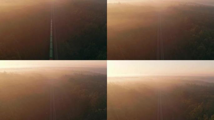 货运列车在日出时穿过雾蒙蒙的森林。鸟瞰图。